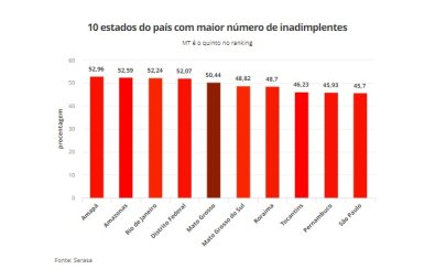  grafico 