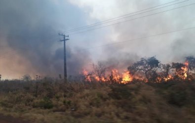 queimadas
