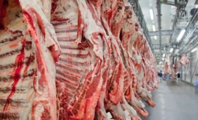 carne[.jpg