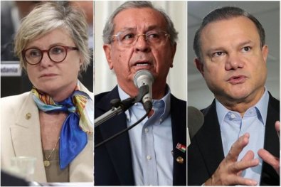 senadores mt