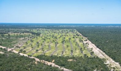 pantanal.jpg