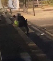 casal praca.jpeg