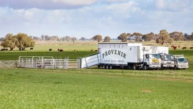 a provenir 2.jpg