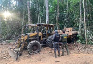 desmatamento - operaco amazonia