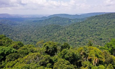 amazonia.jpg