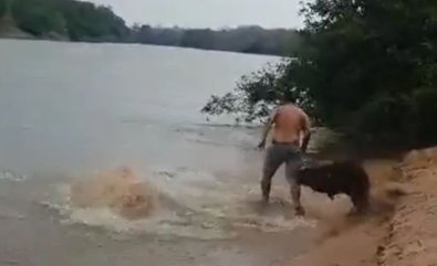 CAPIVARA.jpg