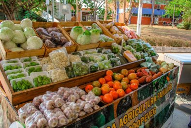 AGRICULTURA FAMILIAR 