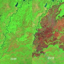 antes e depois pantanal