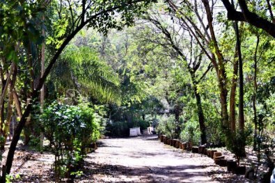 horto florestal.jpg