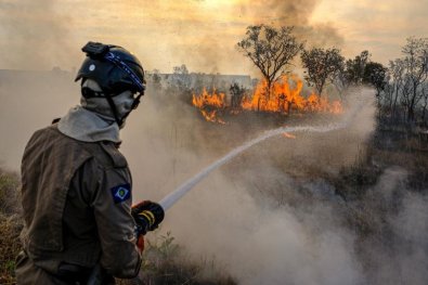 incendio pantanal