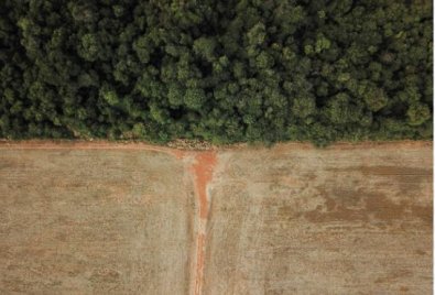 desmatamento fazenda