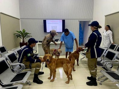 Cachorros Hospital Sorriso