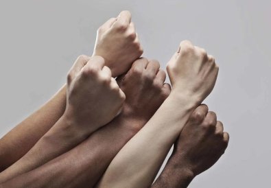 negros e pardos