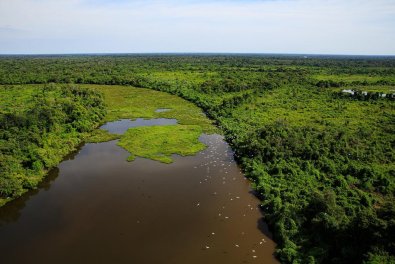 PANTANAL.jpg