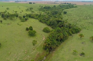 licenca ambiental