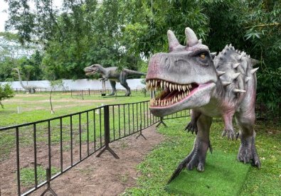 museu-dinossauros