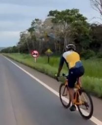 arara.JPG