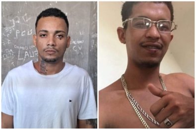 Guina e pica pau