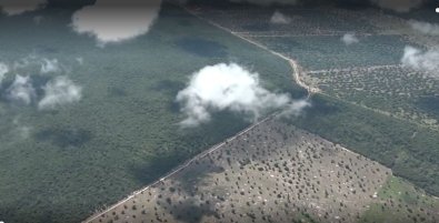 PANTANAL-FAZENDA.JPG