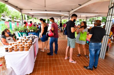  feira de agricultura