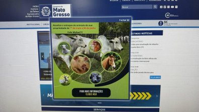 Site INDEA