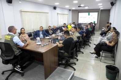 Governo incendios