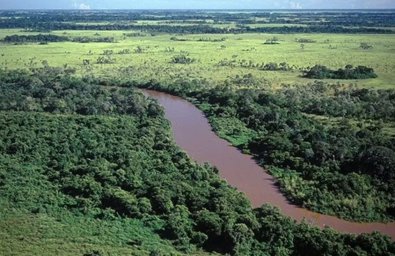 pantanal-mt.JPG