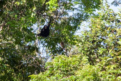 Parque Estadual Cristalino - crÃ©dito FlÃ¡vio Souza (1).jpg