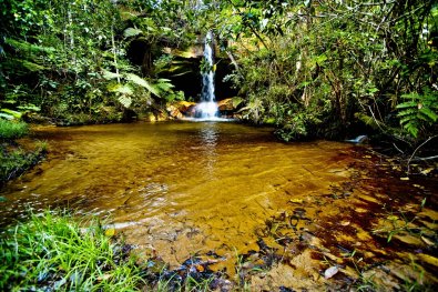 PANTANAL-NASCENTE.jpg