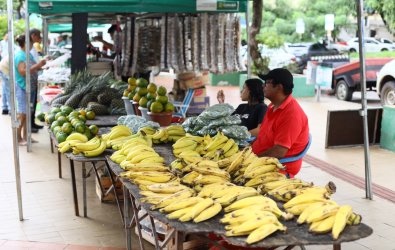 feira-alencastro
