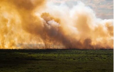 incendios-pantanal
