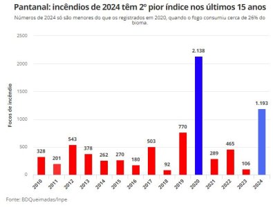 incendios-pantanal