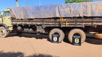 protetor das fronteiras 