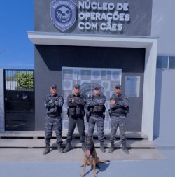 operacoes-caes