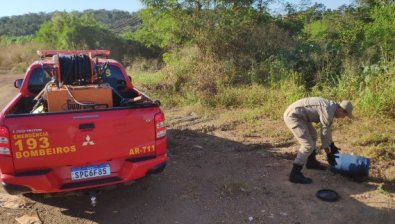 bombeiros-jiboia
