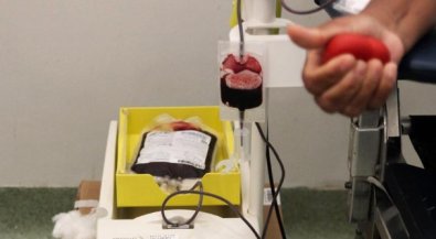 sangue.jpg