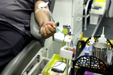 DOACAO DE SANGUE.jpg