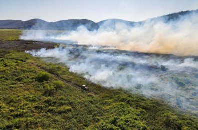 incendio pantanal
