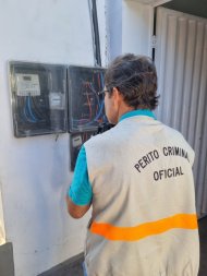 energia-gato