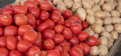 TOMATE-BATATA-CESTA