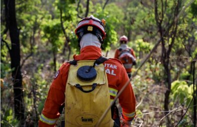 bombeiros-incendioflorestal