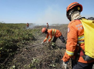 incendio-pantanal