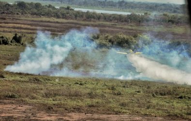 incendio-pantanal