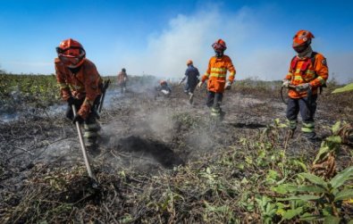 incendio-florestal