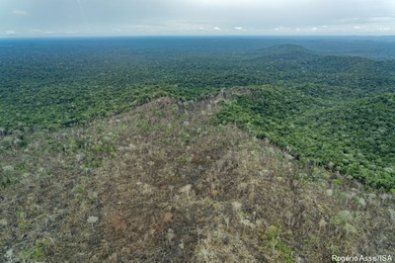 terra indigena piripkura.jpg
