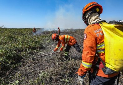 incendio-florestal