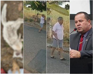 vidal - gato machado.jpg