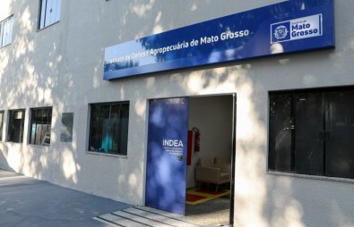 INDEA.JPG