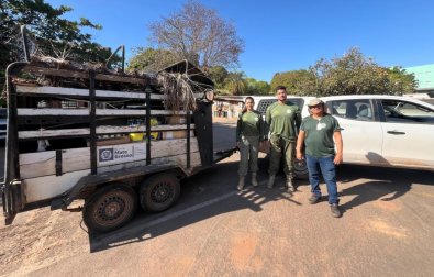 veterinarios-sema