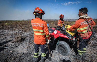INCENDIO-FLORESTAL